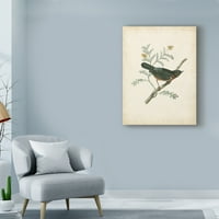 Търговска марка изобразително изкуство 'деликатни птици трети' платно изкуство от неизвестен