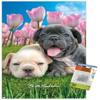 Кийт Кимбърлин - Стенски плакат на Bulldog Puppies с Pushpins, 14.725 22.375