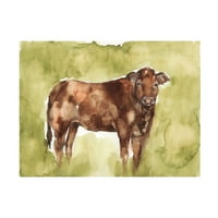 Дженифър Голдбергер-крава в полето