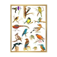 Дизайнарт' Витални Цветни Птици Планкард ' Традиционна Рамка Платно Стена Арт Принт