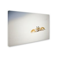 Търговска марка изобразително изкуство призрак рак 7 платно изкуство от Йейл Гърни