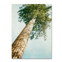 Платното 'гигантско дърво' е запазена марка на Ариана Мошайеди