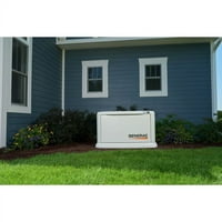 Серия Guardian KW 19. KW Air Cooled Home Generaty Generator с Wi-Fi с превключвател за трансфер на цял мотик