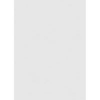 Екена Милуърк 40 В 12 х вертикална повърхностна монтиране ПВЦ Гейбъл отдушник: нефункционален, в 2 в 1-1 2 х Брикмулд рамка