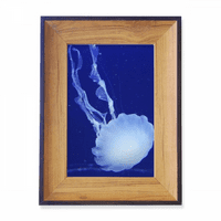 Океанска медузи наука природа снимка снимка изложба на изложението изкуство на работния плот
